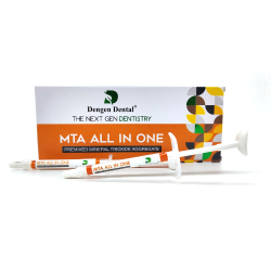 MTA all in One, ready-to-use restorative cement for root canals, 2*1g