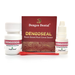 Dengoseal, epoxy resin-based root canal sealer, 15g+10ml