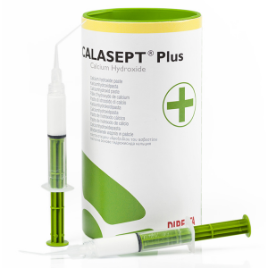 Calasept Plus, material for temporary sealing of root canals, 1.5g