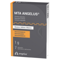 MTA, restorative cement for root canals, 1g + 3ml
