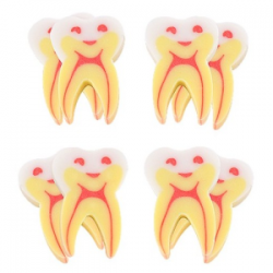 Eraser in the shape of a tooth
