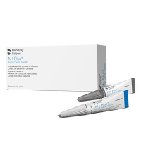 AH Plus, sealer for sealing channels, 8 ml