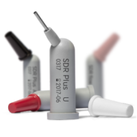 SDR Plus Universal, замінник дентину, 0,25г