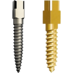 Anchor pins gilded M6