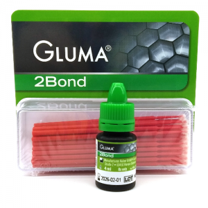 Gluma 2Bond, light-curing one-component adhesive system, 4 ml