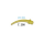 intraoral (yellow) intraoral (yellow)